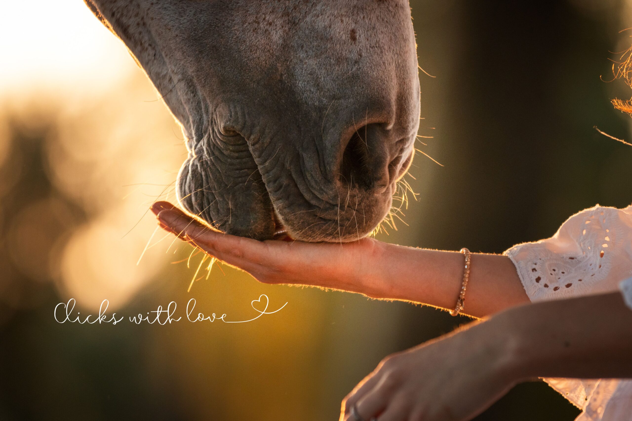 Actie!